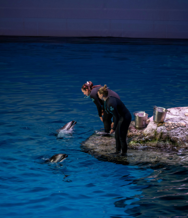 ocean education statistics image